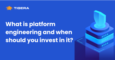 What is platform engineering and when should you invest in it